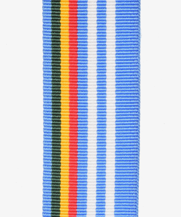 Denmark, DANCON March Mali MINUSMA (445)